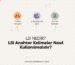 LSI Anahtar Kelimeler
