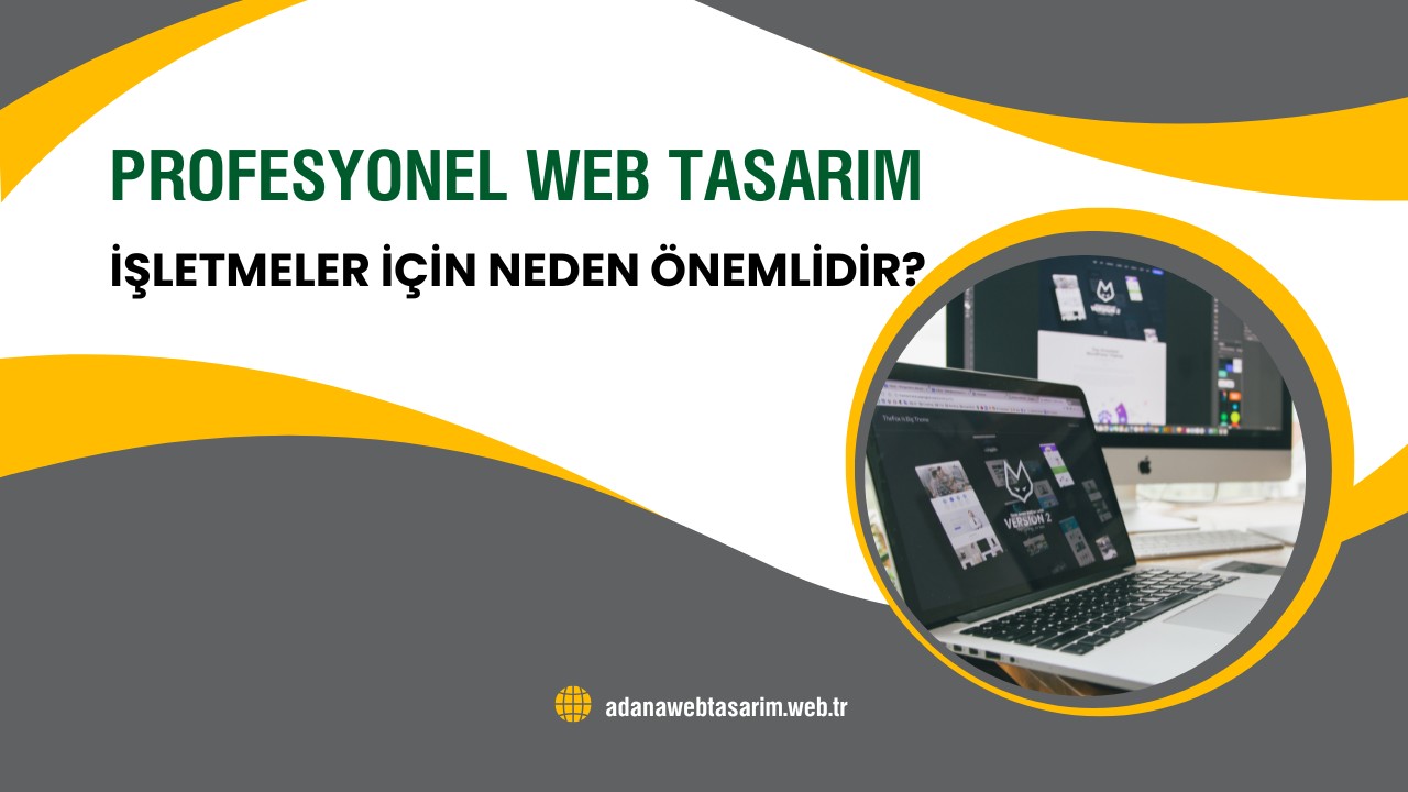 Profesyonel Web Tasarım