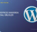 WordPress Hakkında Faydalı Bilgiler